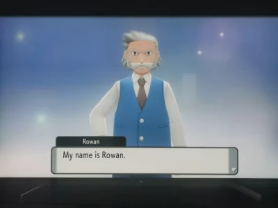 jadalny_kasztan - Cześć Rowan


#pokemon