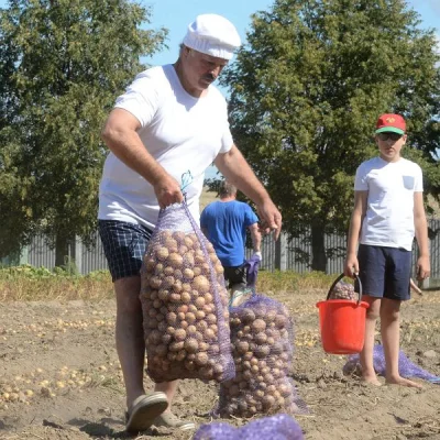 artem17 - @Triptiz: dokładnie, trzeba docenić ciężką pracę Rolników.