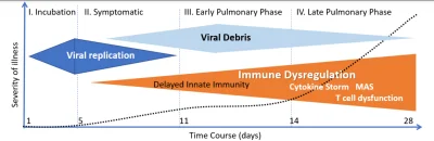 Sg6 - @titus1: Wirus replikuje się w największych ilościach w pierwszych dniach infek...