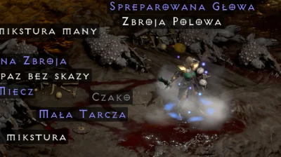 kakao14 - wow w końcu to legendarne czako (╥﹏╥)
#diablo2resurrected