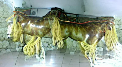 YaroslavTheGreat - Horse from Valona