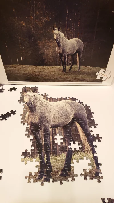 Nicy - No to chyba najłatwiejsze już za mną. (╥﹏╥)
#puzzle #hobby