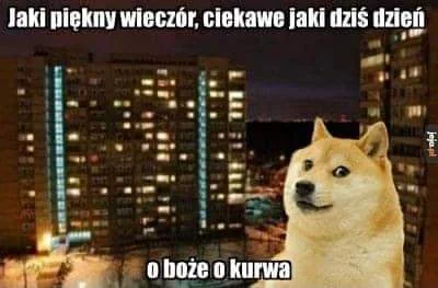 wilk132 - #humorpopsuty #heheszki #niedzielawieczur