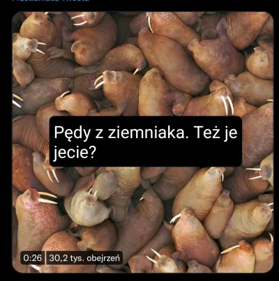 CipakKrulRzycia - #gotujzwykopem #heheszki #humorobrazkowy 
#ziemniak