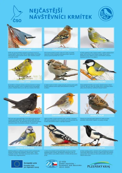 Lifelike - #graphsandmaps #nauka #biologia #ornitologia #ptaki #czechy #jezykczeski