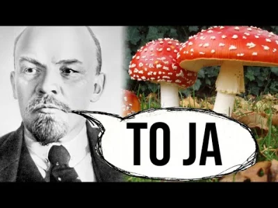 ksetlak - > Lenin był grzybem

@Krnabrny_Prebiotyk: Wiadomo (⌐ ͡■ ͜ʖ ͡■)