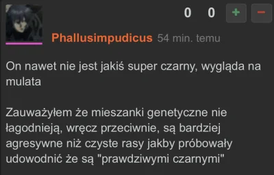 Rumin - W Polsce i na wykopie nie ma rasizmu. Rozejsc sie.