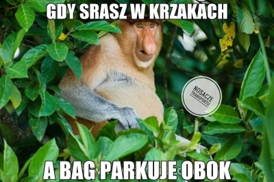 Bakys - Wpis numer cztery

Dobra- żeby nie było, że tylko jadę po kierowcach, to te...