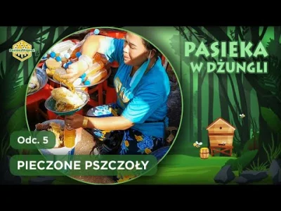 wataf666 - najnowszy gniot pszczółki, dobre 30 minut, zero prezesa, zero lizania mu r...