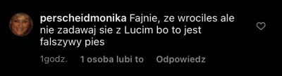 sesame0il - Nie mogę z tego jak szynszyl lajkuje te piekne komentarze o chomiku XDD
...