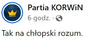 czeskiNetoperek - Powiedz, że jesteś wyborcą Konfederacji, bez mówienia, że jesteś wy...