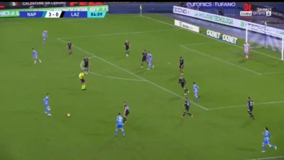 Cinkito - Fabian Ruiz, Napoli [4] - 0 Lazio
#golgif #mecz #seriea