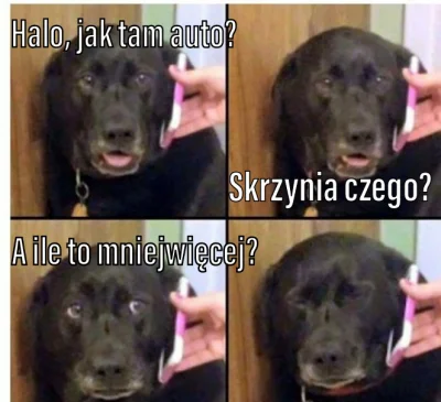 A.....7 - #heheszki #humorobrazkowy #motoryzacja 
Jako właściciel mema pozwalam sobie...