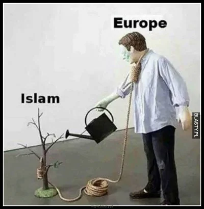 januszzczarnolasu - > Europa ma problem z islamizmem

@velmar: Na własne życzenie.