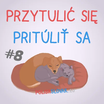 PolishSlovak - „Przytulić” i „pritúliť” wywodzą się z prasłowiańskiego czasownika „tu...