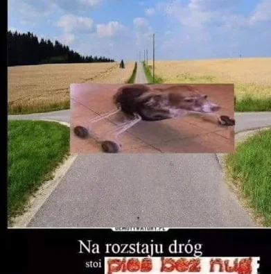 radziuxd - @XD__: #!$%@? jestem wiem, ale z niczego się tak długo nie śmiałem ( ͡° ͜ʖ...