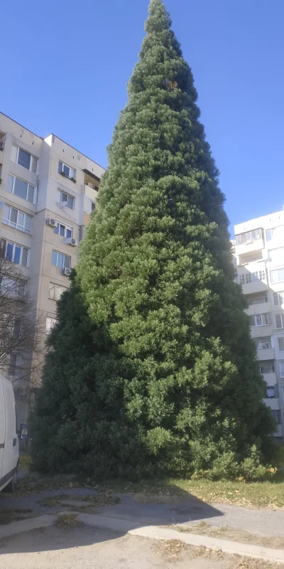 Dakkar - Odnośnie wpisu o choince z gorących

To jest bydlak? To jest jakaś popierd...