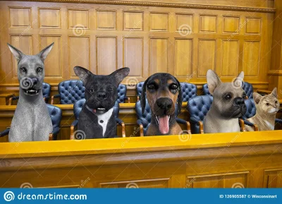lkucharski - > psa oraz jego rodzina będą dochodzić sprawiedliwości w sądzie