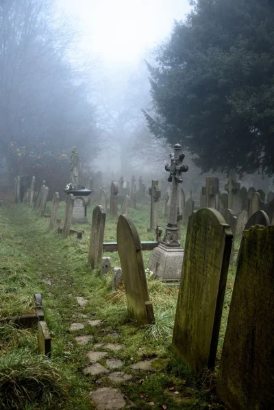 t.....r - Jeśli już miałbym umrzeć to chce mieć grób na takim cmentarzu, a nie na kan...