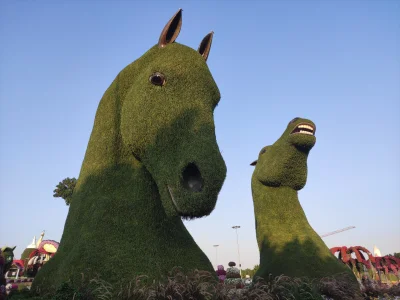 pol-scot - Końskie głowy w ogrodzie w Dubaju wzorowane na rzeźbie The Kelpies znajduj...