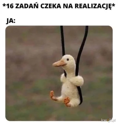 Jar_ko - Cholera już piątek xD
#humorobrazkowy #heheszki