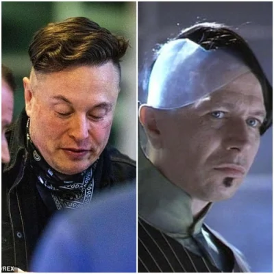 T.....r - #heheszki #humorobrazkowy #elonmusk #spacex