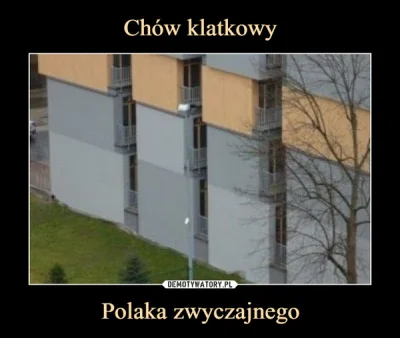 pienick - W Polsce wygląda to na razie tak:)