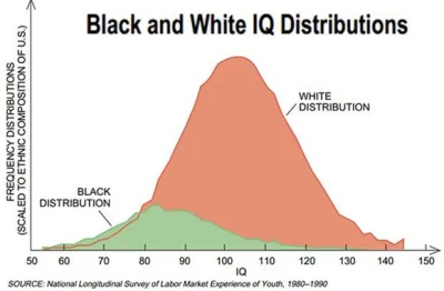 neo78 - Czarni są mniej inteligentni. Widać to po wszystkich badaniach jak i po stref...