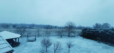 rybeczka - #dziendobry #krakow
Jest i on :) pierwszy śnieg to zwiastuje tylko jedno (...