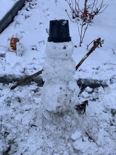 kutwa_sprytny - Dajcie pare plusów na bałwana Polaka ulepionego z błota i cierpienia ...