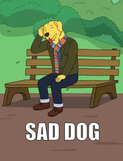 szczesliwa_patelnia - #bojackhorseman #bojack

Sad dog (╯︵╰,)