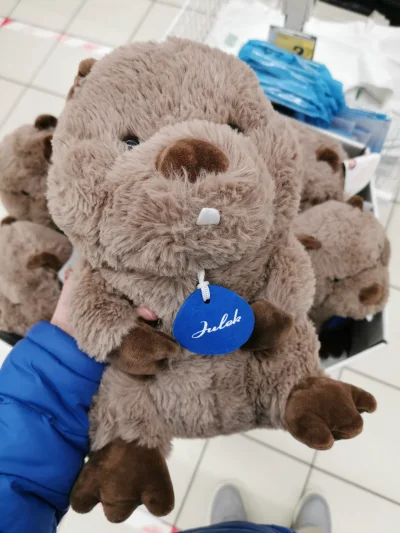 Borealny - Spójrzcie jakie fajne bobry sprzedają w Auchan przy kasach. (｡◕‿‿◕｡) Co pr...
