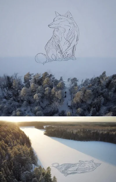 A.....1 - Wilk wykonany w śniegu na jeziorze Piktäjärvi w Finlandii.

#ciekawostki ...