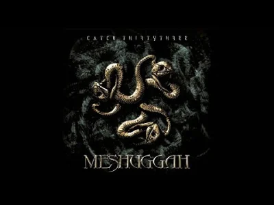 cosmopolitan - Meshuggah - Catch Thirtythree
#muzyka #progressivemetal #metal #cosmo...