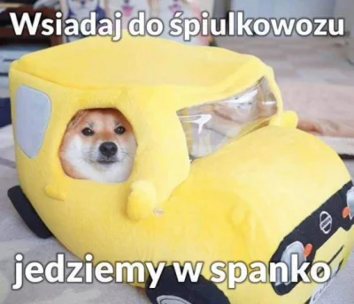 mistejk - @NoJakNieJakTak: bo w sumie w memach był śpiulkowóz..