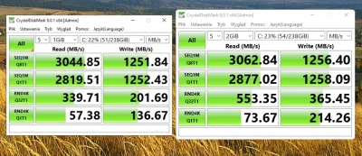 A.....1 - Z ciekawości sprawdziłem jak to wygląda u mnie. Dysk to Adata XPG SX8200 Pr...