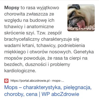 pome8_8 - @mordoo: @Thatsnotmeno: sorry, ale trzeba być durniem, żeby nie zauważyć, z...