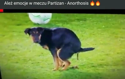J.....1 - @Brazylia Jeszcze pies grał w Partizan v Anorthosis