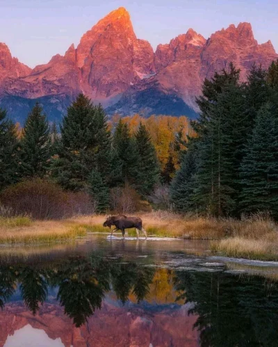 Borealny - Grand Teton National Park, Wyoming, USA
#earthporn #natura #fotografia #go...