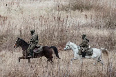 dr_gorasul - #wojskopolskie #wojsko #bialorus #konie 
Koń arabski w normalnej roboci...