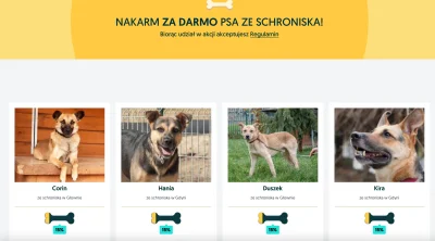 mogadishu - mirki, żeby każdy jeden psiak dostał karmę od olx musi uzyskać aż 60k kli...