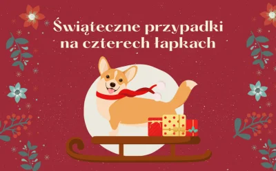 KIJU87 - Jakby ktoś chciał dzieciakom poczytać to polecam :-)
Świąteczne przypadki n...