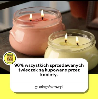 Paula_pi - Pozostałe 4% to prezent do #wykopaka ( ͡~ ͜ʖ ͡°)