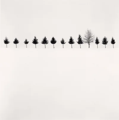 Hoverion - fot. Michael Kenna
Line of Trees, Biei, Hokkaido, Japan, 2012
#fotominim...
