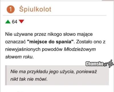 S.....l - Z wiadomych przyczyn, słowo ma być bezpłciowe, żeby nikogo nie obrazić.