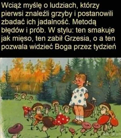 Niedobry - Zawsze bawi.