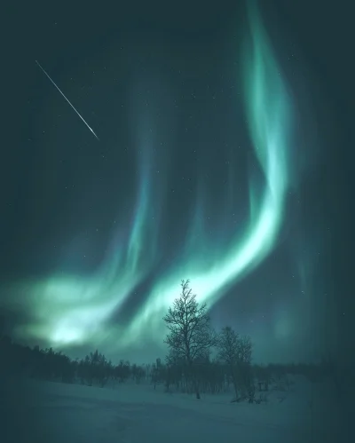wariatzwariowany - Make a wish_

Norwegia
autor
#fotografia #earthporn #estetyczn...