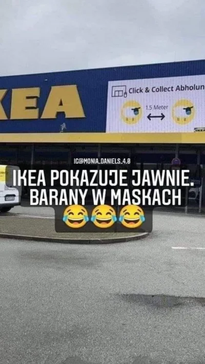 Sympatyczna_Kapibara