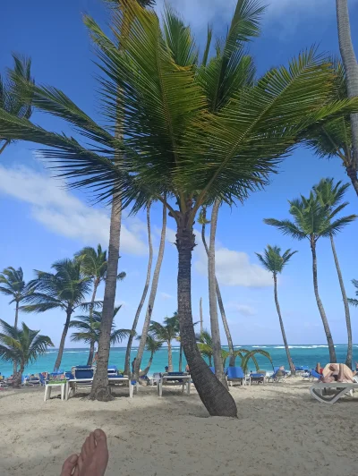 Lowca90 - Wakacje w grudniu na słonecznej Dominikanie to najlepszy pomysł na jaki wpa...