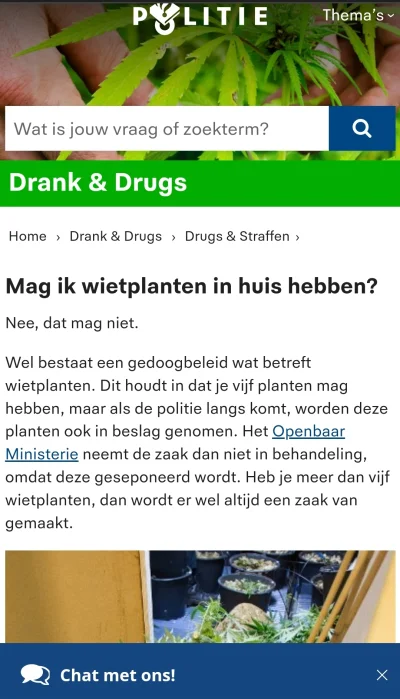 rafik1979 - Tu info ze strony Policji w NL.
Nie wolno mieć krzaków w domu.